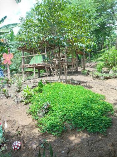Agroturismo Camping Paradise And Singalong Mountain Garden
