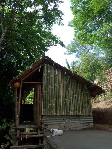 Agroturismo Camping Paradise And Singalong Mountain Garden