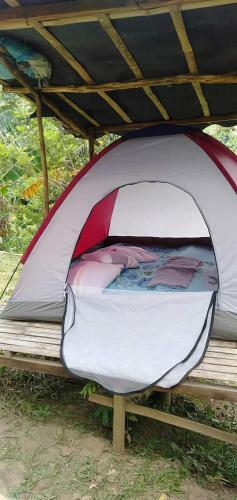 Agroturismo Camping Paradise And Singalong Mountain Garden