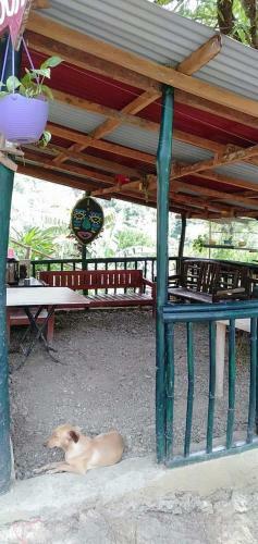 Agroturismo Camping Paradise And Singalong Mountain Garden