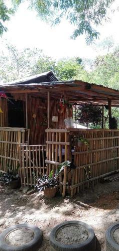 Agroturismo Camping Paradise And Singalong Mountain Garden