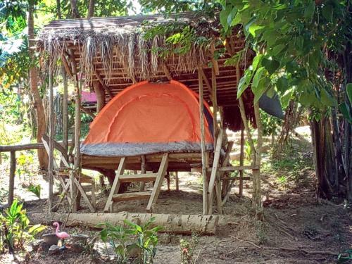 Agroturismo Camping Paradise And Singalong Mountain Garden