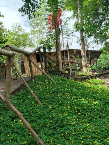 Agroturismo Camping Paradise And Singalong Mountain Garden
