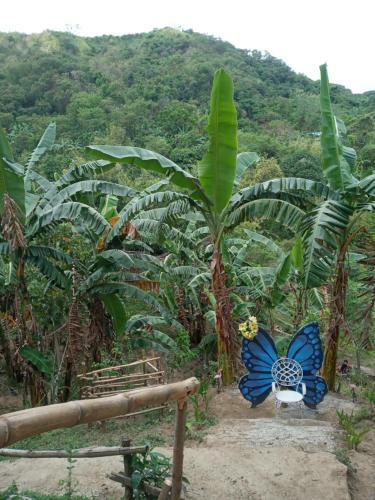Agroturismo Camping Paradise And Singalong Mountain Garden