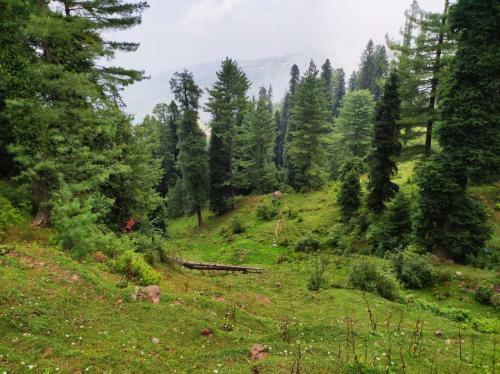 Hotel The Pyramid Resort, Murree