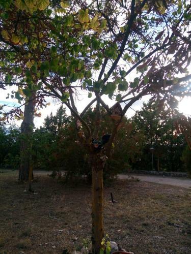 Apartamento Los Tobares
