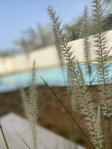 Villa Dar Al Nour, Partial Ocean View