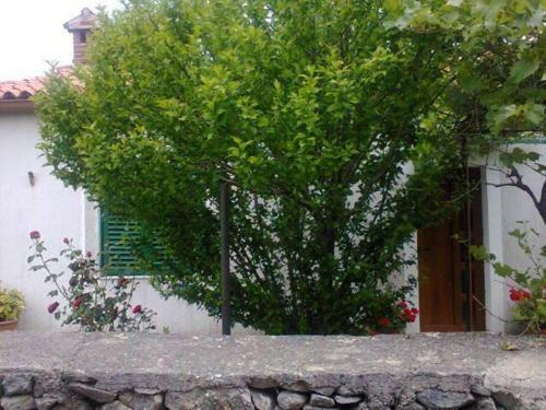 Hostal Guesthouse Adriana Cottages
