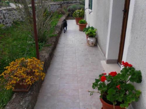 Hostal Guesthouse Adriana Cottages