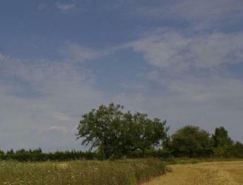 Bed & Breakfast Le Clos Du Murier