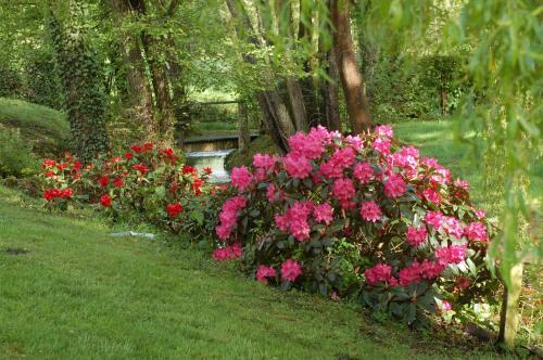 B&B La Baronni�re