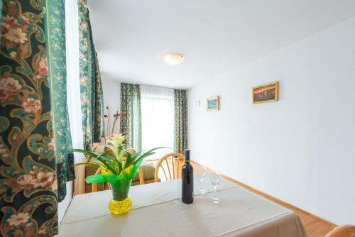 Apartments Matu?ko