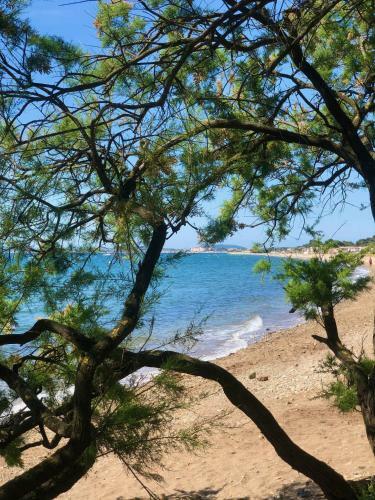 Hotel H�tel De La Mer