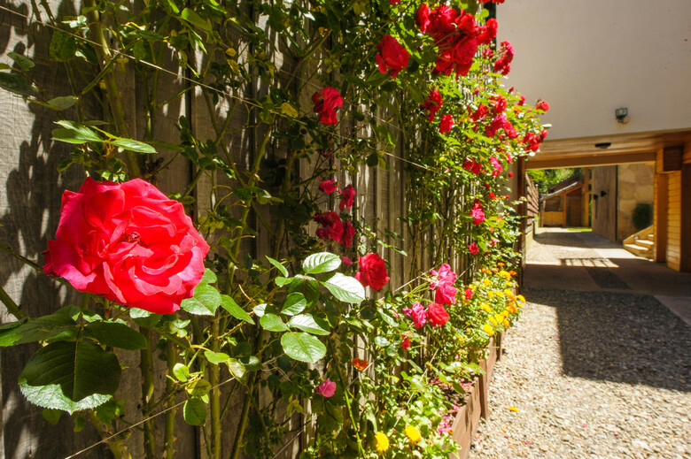 Hotel Apart And Spa Del Sauco
