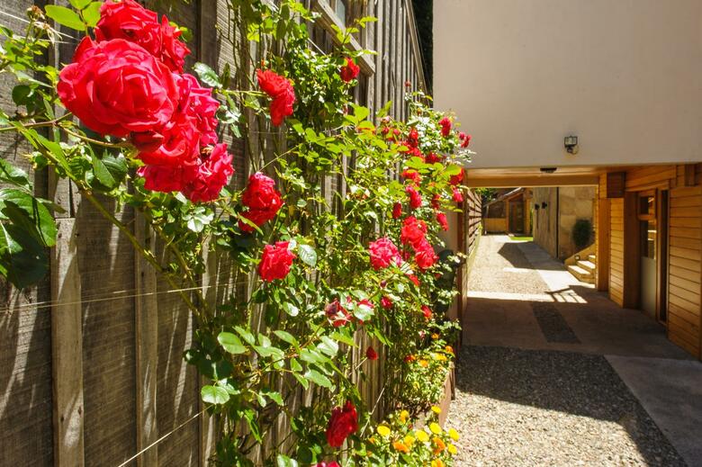Hotel Apart And Spa Del Sauco