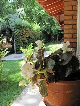 Hotel Villa Le Terrada Suites