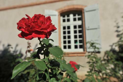 Bed & Breakfast Domaine De Belcayre