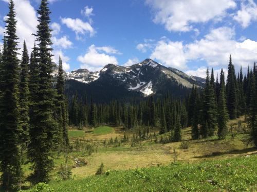 Alpenrose Revelstoke Bed & Breakfast