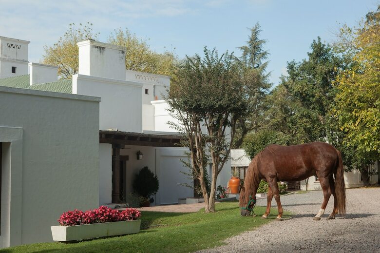 Hotel Las Moras