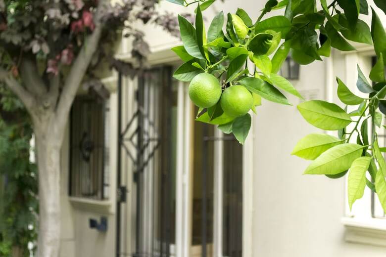 Hotel Casa Senorial
