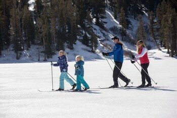Hotel Tamarack Lodge