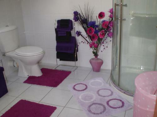 Clunelly House B&B