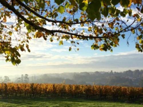 Bed & Breakfast Ch�teau De La Ligne