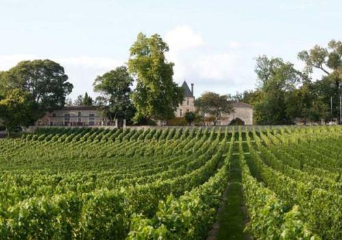 Bed & Breakfast Ch�teau De La Ligne