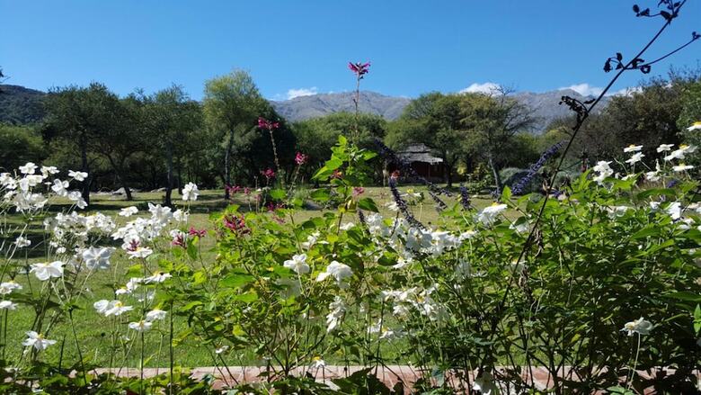 Hotel Las Dalias