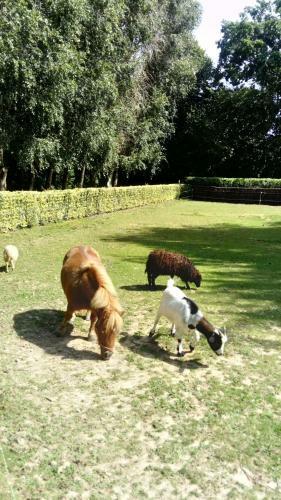 Hostal Le Haut Montray�