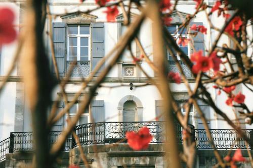 Bed & Breakfast Aire Berria