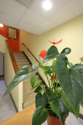 Hotel Le Proven�al