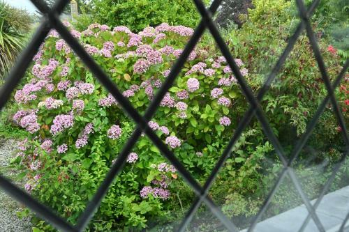 Bed & Breakfast Halwell Lodge
