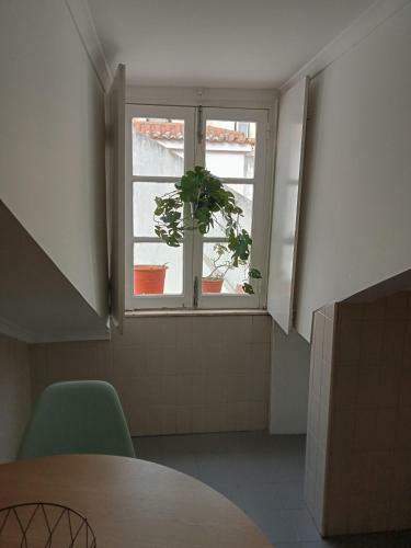 Hotel Succeed Terreiro Do Pa�o Suites