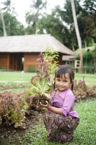 Hotel Kappa Senses Ubud