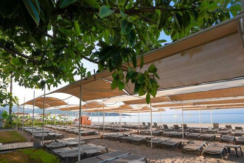 Hotel Seaphoria Beach Resort