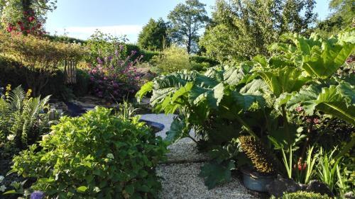 Bed & Breakfast Demeure De La Vendemiere