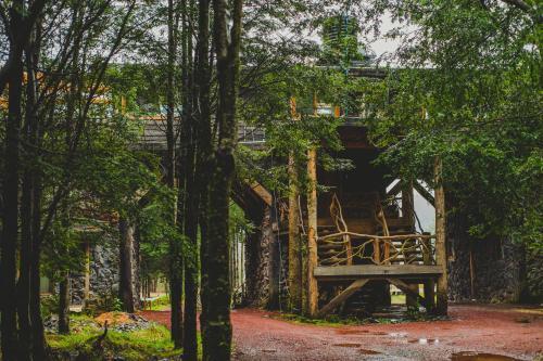 Albergue Hostal Salto El Puma