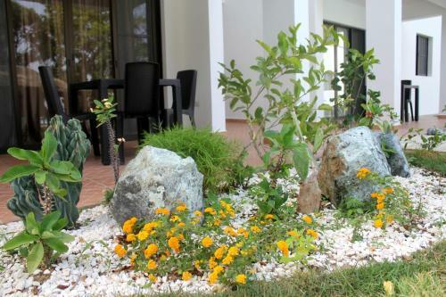 Coral Blanco Hotel