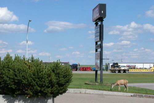 Motel Best Seven Inn