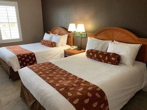 Apartamento Perfect Place Suite Apt 2 Queen Beds Free Parking