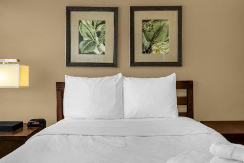 8537 - 4br Disney World Vacation Townhome