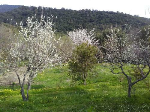 Holiday Home L Acitaja Folelli