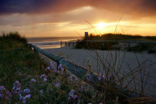 Camping La For�t