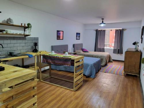 Espaciosos Y Lindos Mini Apartamentos