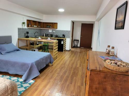 Espaciosos Y Lindos Mini Apartamentos