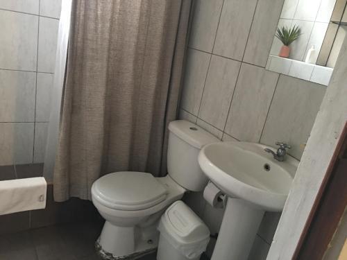 Huaca Miraflores #105