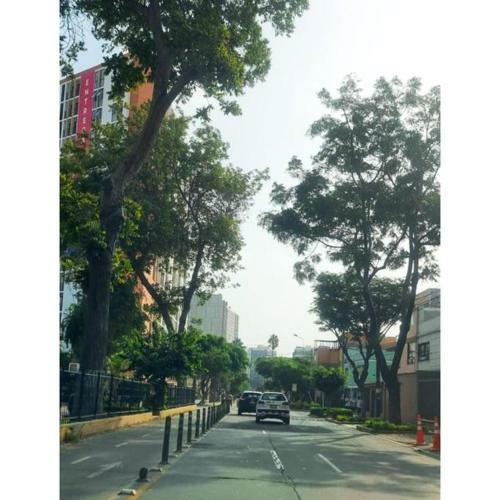 Apartamento Bell�simo Departamento De Estreno En Barranco