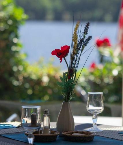 Logis Hotel Du Lac