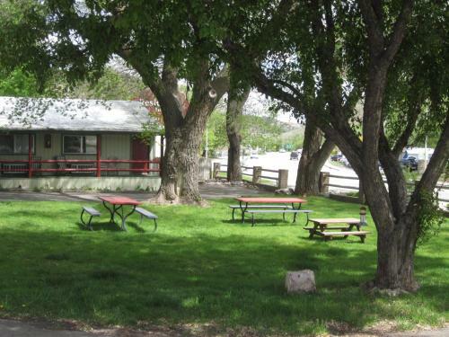 Motel Wapiti Lodge